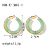 Wholesale Women's Stainless Steel 18K Gold Electroplated Hollow Geometric Resin Earrings