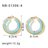 Wholesale Women's Stainless Steel 18K Gold Electroplated Hollow Geometric Resin Earrings