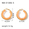 Wholesale Women's Stainless Steel 18K Gold Electroplated Hollow Geometric Resin Earrings