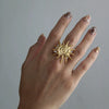 Wholesale Women's Stainless Steel 18K Goldinlaid Fruitshaped Open Ring Light Luxury Geometric Accessories