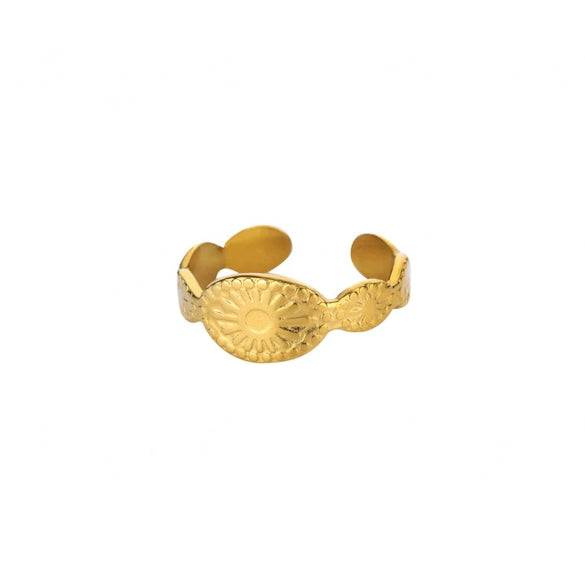 Wholesale Women's Stainless Steel 18K Goldinlaid Fruitshaped Open Ring Light Luxury Geometric Accessories