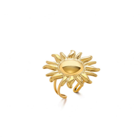 Wholesale Women's Stainless Steel 18K Goldinlaid Fruitshaped Open Ring Light Luxury Geometric Accessories