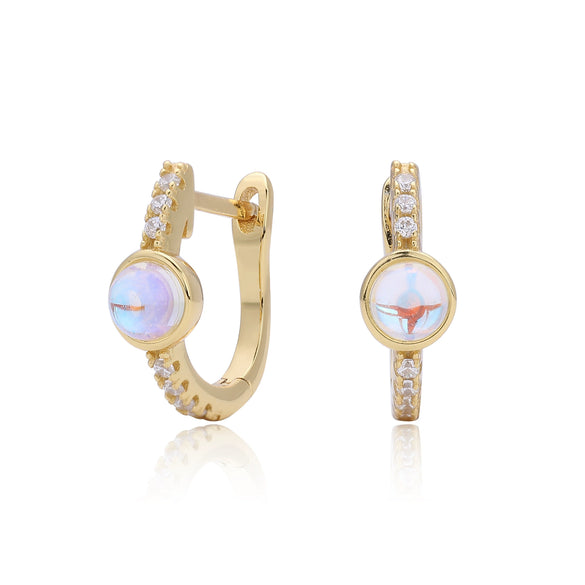 Wholesale Women's 925 Sterling Silver Geometric Inlaid Zircon Earrings