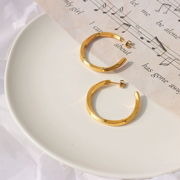Wholesale Women's Titanium Steel Geometric Big Circle Micro Twist Electroplated Earrings