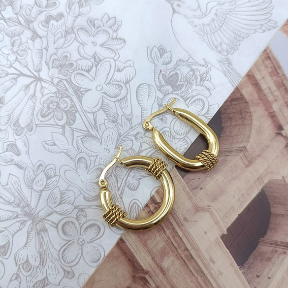 Wholesale Women's Titanium Steel Geometric Earrings Electroplated Light Luxury Antiallergic Nonfading