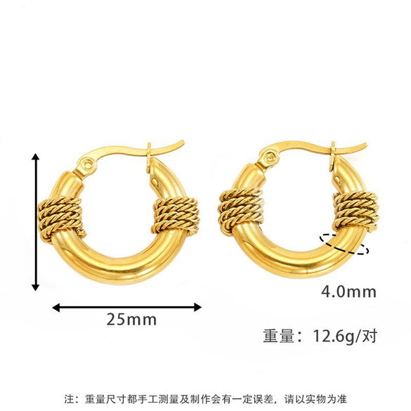 Wholesale Women's Titanium Steel Geometric Earrings Electroplated Light Luxury Antiallergic Nonfading