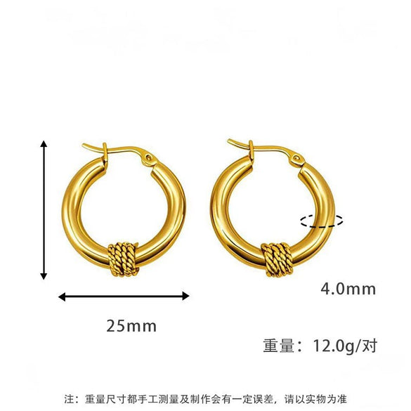 Wholesale Women's Titanium Steel Geometric Earrings Electroplated Light Luxury Antiallergic Nonfading