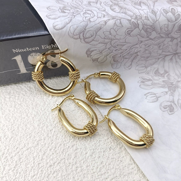Wholesale Women's Titanium Steel Geometric Earrings Electroplated Light Luxury Antiallergic Nonfading