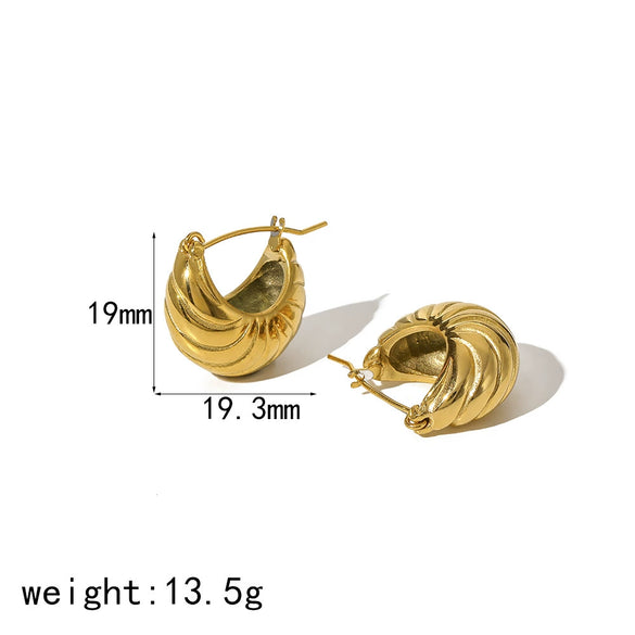 Wholesale Women's Titanium Steel Geometric Earrings With Electroplating