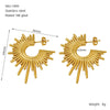 Wholesale Women's Titanium Steel Geometric Fashion Ol Earrings With Electroplating