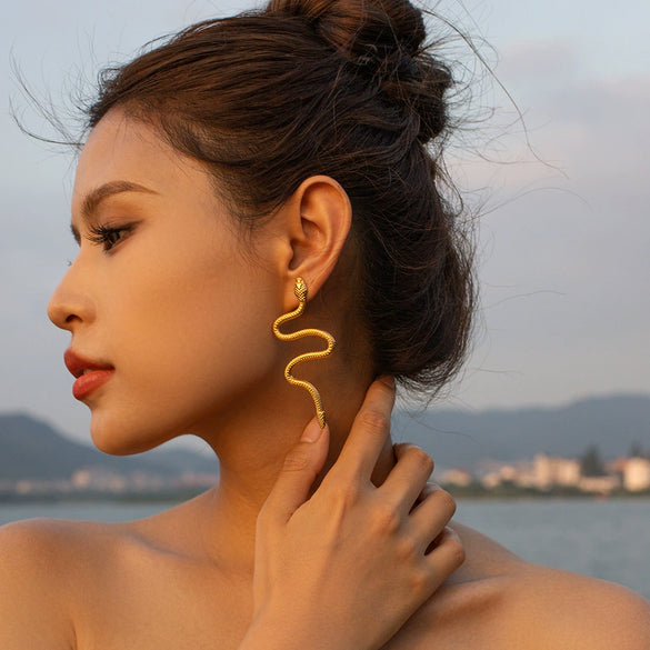 Wholesale Women's Titanium Steel Geometric Snakeshaped Electroplated Earrings In Ins Style
