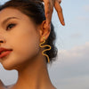 Wholesale Women's Titanium Steel Geometric Snakeshaped Electroplated Earrings In Ins Style