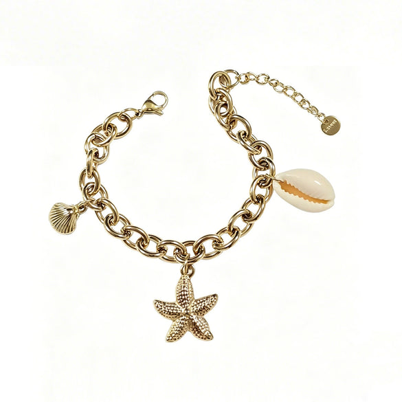 Wholesale Women's Vacation Style Geometric Shell And Starfish Stainless Steel Vacuum Plated Bracelet
