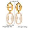 Wholesale Women's Vintage Retro Maillard Style Geometric Stainless Steel Electroplated Earrings