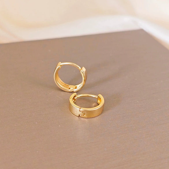 Wholesale Women's Zinc Alloy Light Luxury Style Electroplated Earrings