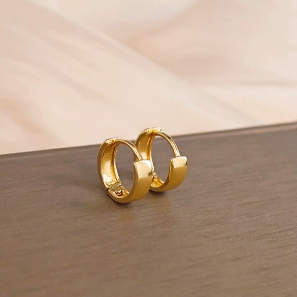 Wholesale Women's Zinc Alloy Light Luxury Style Electroplated Earrings