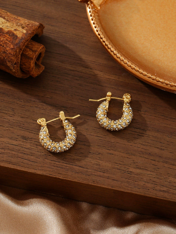 Wholesale Zircon Titanium Steel Electroplated Stainless Steel Earrings For Women