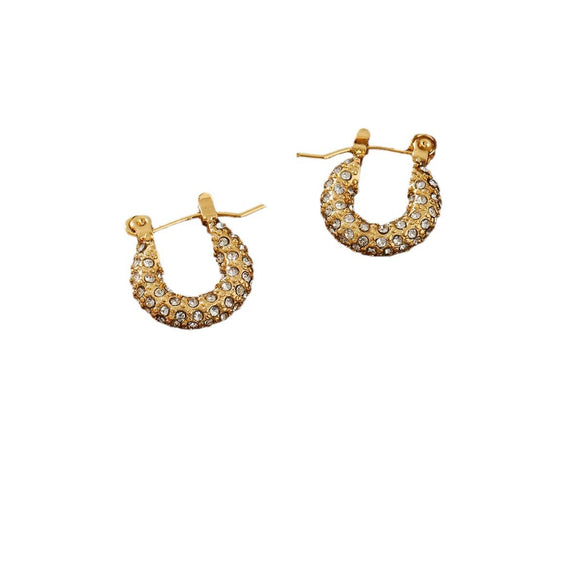 Wholesale Zircon Titanium Steel Electroplated Stainless Steel Earrings For Women