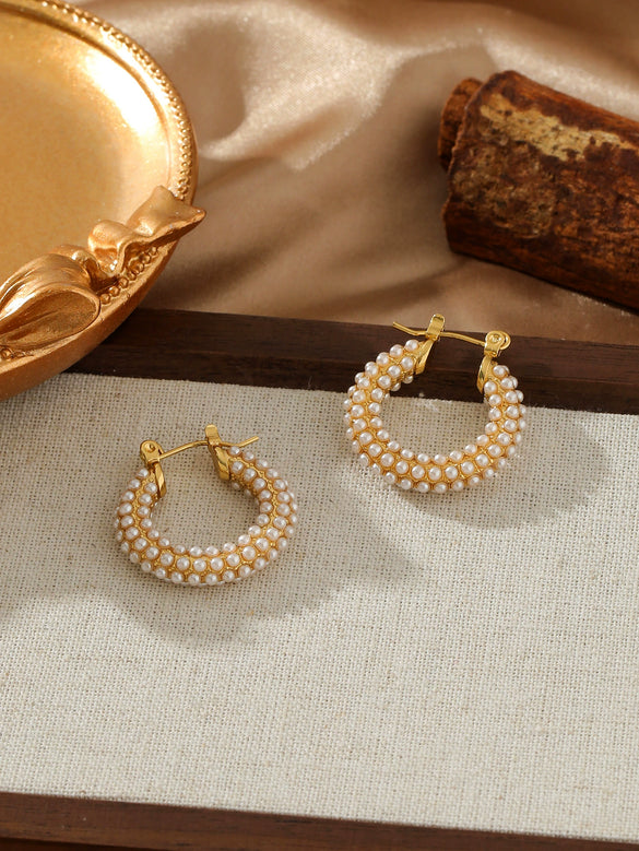 Wholesale Zircon Titanium Steel Electroplated Stainless Steel Earrings For Women