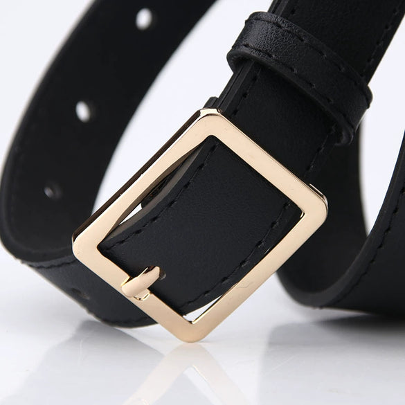 Women Fashion Pu Leather Decorative Belt Minimalist All Match Pin Buckle Belt For Coat Sweater Jeans And Trousers