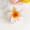 Women'S Simple Style Flower Plastic Resin Hair Claws
