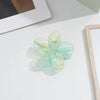 Women'S Simple Style Flower Plastic Resin Stoving Varnish Hair Claws