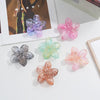 Women'S Simple Style Flower Plastic Resin Stoving Varnish Hair Claws