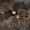 Women Sterling Silver 14K Gold Plated Mini Diamond Encrusted Star Earrings