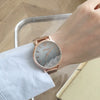 Women's Alloy Case Ordinary Glass Mirror Leisure Style Gipsophila Wristwatch