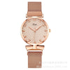 Women's Alloy Iron Milan Band Round Dial Leisure Quartz Watch