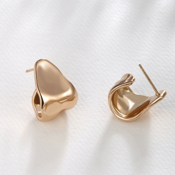 Women's Alloy Smooth Twisted Metal Irregular Electroplated Earrings Light Luxury High End