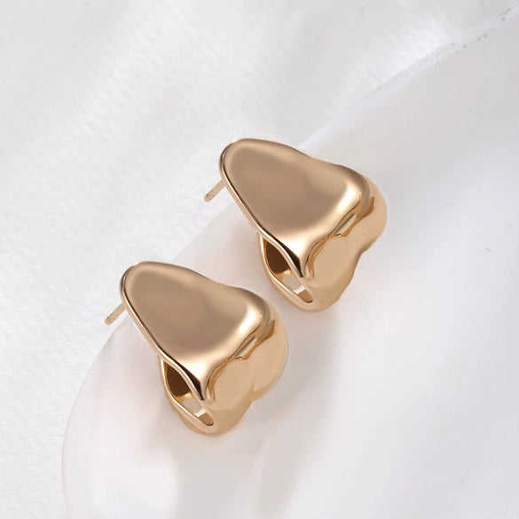 Women's Alloy Smooth Twisted Metal Irregular Electroplated Earrings Light Luxury High End