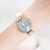 Women's Alloy Watch Round Dial Fashion Trendy Waterproof
