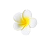Women's Artificial Leather Handmade Simulation Egg Flower Side Clip Hair Accessories