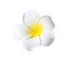 Women's Artificial Leather Handmade Simulation Egg Flower Side Clip Hair Accessories