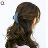 Women's Blue Frosted Plastic Hair Claw Clip Handmade Shark Hairpin Versatile Hair Accessory