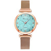 Women's Casual Alloy Case Quartz Watch Fivepiece Set With Magnet Strap And Diamond Flower Design