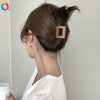 Women's Coffee Brown Frosted Shark Hair Clip Handmade Fashion Hair Accessory In Ps Abs And Pc