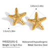 Women's Exaggerated Starfish Pentagram Frosted Stud Earrings In Titanium Steel And Stainless Steel With Electroplating Animal Zodiac Design