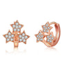 Women's Fashion Alloy Star Stud Earrings With Micro Inlaid Zircon Light Luxury Fresh Style Ear Buckles
