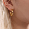 Women's Fashion Geometric Stainless Steel Cshaped Earrings Pvd Plated With 18K True Gold