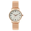 Women's Fashion Quartz Watch Alloy Case Metal Strap Round Dial