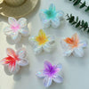 Women's Floral Hairpin Simple Style Paint Design Gripper Classification