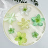 Women's Floral Hairpin Simple Style Paint Design Gripper Classification