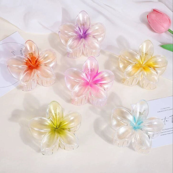 Women's Floral Hairpin Simple Style Paint Design Gripper Classification