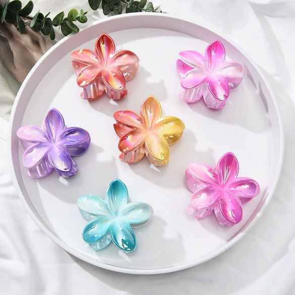 Women's Floral Hairpin Simple Style Paint Design Gripper Classification