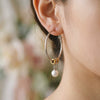 Women's Geometric Circle Imitation Pearl Drop Earrings With Stainless Steel Posts And Vacuum Gold Plating Minimalist Jewelry