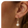 Women's Geometric Faux Pearl Pendant Earrings With Stainless Steel Posts Electroplated Fashion Jewelry Elegant Minimalist High End Style