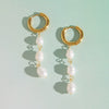 Women's Geometric Plated Stainless Steel Freshwater Pearl Earrings For Pierced Ears Elegant Jewelry