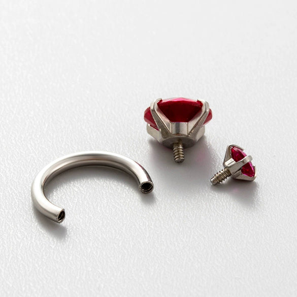Women's Geometric Titanium Steel Inlaid Zircon Earrings Horseshoe Ring Snail Style